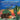 Under the Desert Skies: The Stinky, Curious, and Disgusting