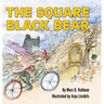 The Square Black Bear