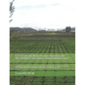 CCA Exam Unofficial Practice Questions for the Certified Crop Advisor (International) Exam