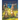 The Magic Forest
