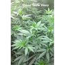 Visual Grow Diary