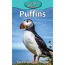 Puffins