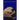 Nightswimmer