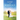 Golf and Marriage: Improve Your Marriage by Improving Your Golf