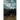 Fading Shadows