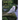 Birds of the Lake Erie Region