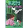 The Very Small Adventures of Anne Katrine