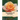 The Rose, Its History