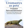Uromastyx as pets. Uromastyx Facts and Information. Uromastyx Care, Behavior, Diet, Interaction, Costs and Health.