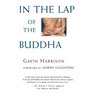 In the Lap of the Buddha