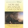 How Like an Angel Came I Down
