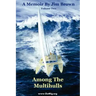 Among the Multihulls: Volume Two