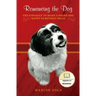 Romancing the Dog: The Struggle To Make A Pound Dog Happy in Beverly Hills