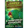 A Rainforest Adventure