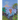 The Polkadot Pony and the Land of NotForgot