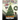 A Dragon Christmas: Help Your Dragon Prepare for Christmas. A Cute Children Story To Celebrate The Most Special Day of The Year.