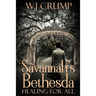 Savannah's Bethesda: Healing for All: Healing for All: