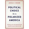 Political Choice in a Polarized America: How Elite Polarization Shapes Mass Behavior