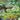 Is It a Plant or an Animal? How Do Scientists Identify Plants and Animals? Compare and Contrast Biology Grade 3 Children's Biology Books