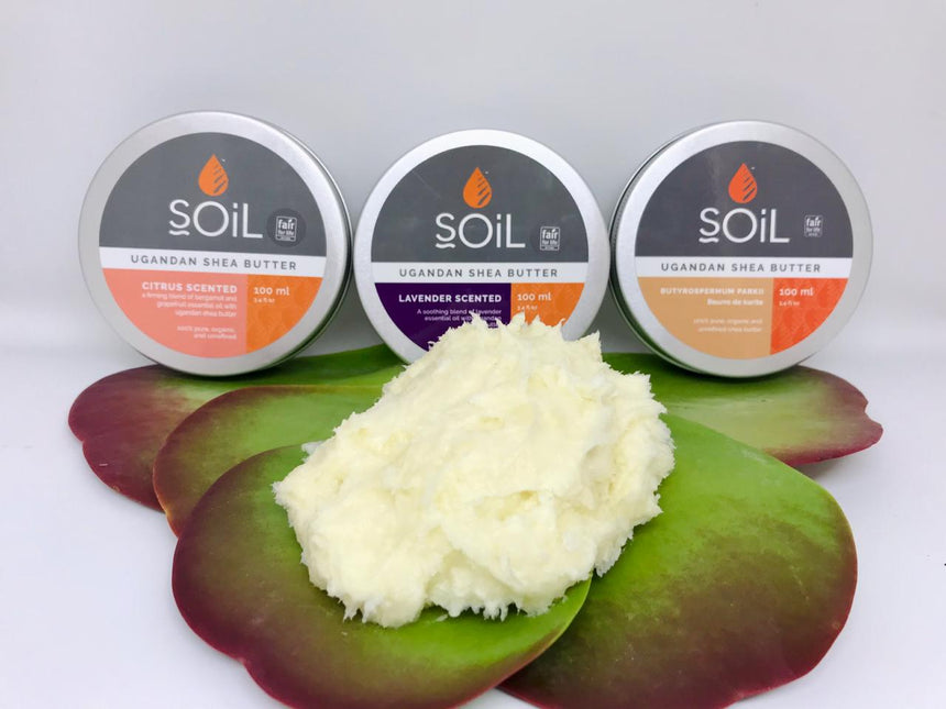 Organic Shea Butter 100ml by SOiL Organic Aromatherapy and Skincare