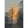 The Small Winter Sun