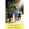 ...as it is in Heaven: True Stories of Life Before Life From Children Who Remember