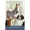 Animal Illumination: The Essential Guide to Learning Intuitive Animal Communication