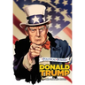 Political Power: Donald Trump: The Graphic Novel