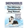 Sheepadoodles. Ultimate Sheepadoodle Dog Manual. Sheepadoodle book for care, costs, feeding, grooming, health and training.
