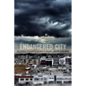 Endangered City: The Politics of Security and Risk in Bogotá