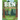 Ben...the Beginning