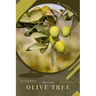 Olive Tree: Plant Guide