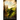 The Tower of Venass