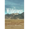 The Wilderness: A Path to Promise