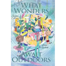 What Wonders Await Outdoors