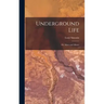 Underground Life: Or, Mines and Miners