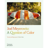 Joel Meyerowitz: A Question of Color