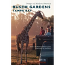Busch Gardens Tampa Bay