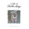 My Life with Shelter Dogs