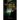 Unveiling Revelation