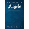 I Believe in Angels: The Miraculous True-Life Story of Catastrophic Vehicle Collision Survivor Ashley