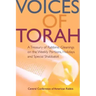 Voices of Torah