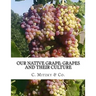 Our Native Grape: Grapes and Their Culture: A List of Old and New Grape Varieties