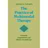 Practice of Multimodal Therapy: Systematic, Comprehensive, and Effective Psychotherapy