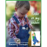 Rocks In My Pocket: A Pre-School Story