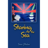Staring At the Sea