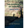 The Experience of Thinking