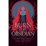 Burn of Obsidian: A Dark Paranormal Romance
