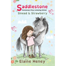 Saddlestone Connemara Pony Listening School Sinead and Strawberry - Dyslexia Friendly