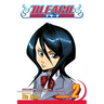 Bleach, Vol. 2